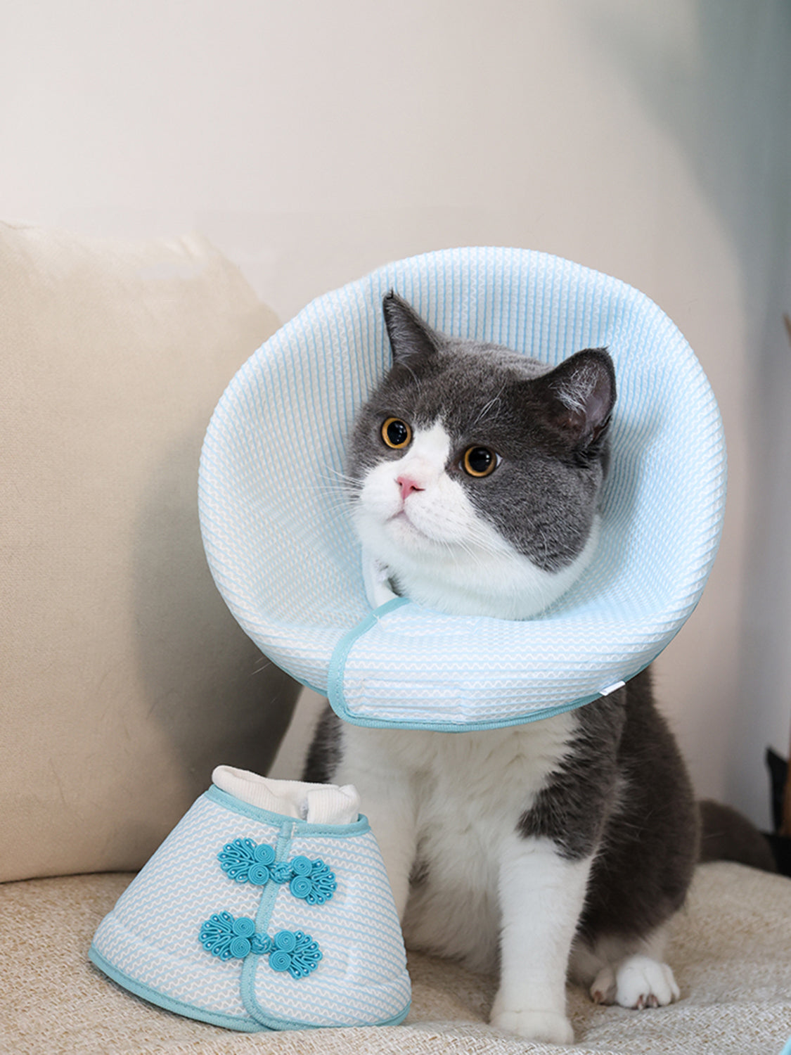 JHLY Chinese-style Pet Elizabethan Collar For Dog & Cat