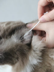 JHLY Pet Ear Cleaning Cotton Swabs For Cat