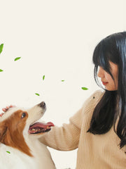 JHLY Avocado Pet Paw Balms For Dog & Cat