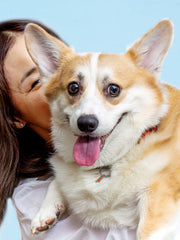 JHLY Pet Mouthwash For Dog & Cat 300ml