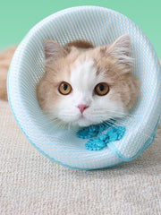 JHLY Chinese-style Pet Elizabethan Collar For Dog & Cat