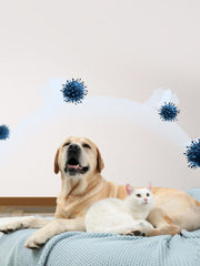 JHLY Deodorizer Air Freshener For Dog 50ml