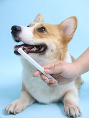 JHLY Pet Toothbrush For Dog & Cat 1 pcs
