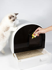 JHLY Deodorizer Air Freshener For Cat 50ml