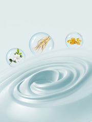 JHLY Camellia Paw Balms For Dog 30g