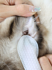 JHLY Ear Cleaning Finger Glove Wet Wipes For Dog