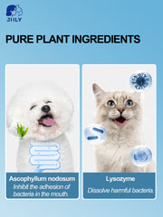 JHLY Pet Dental Powder For Dog & Cat 20g