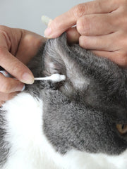 JHLY Pet Ear Cleaning Cotton Swabs For Cat