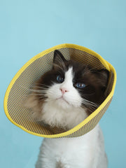 JHLY Natural Bamboo Weaving Breathable Elizabethan Collar For Dog & Cat