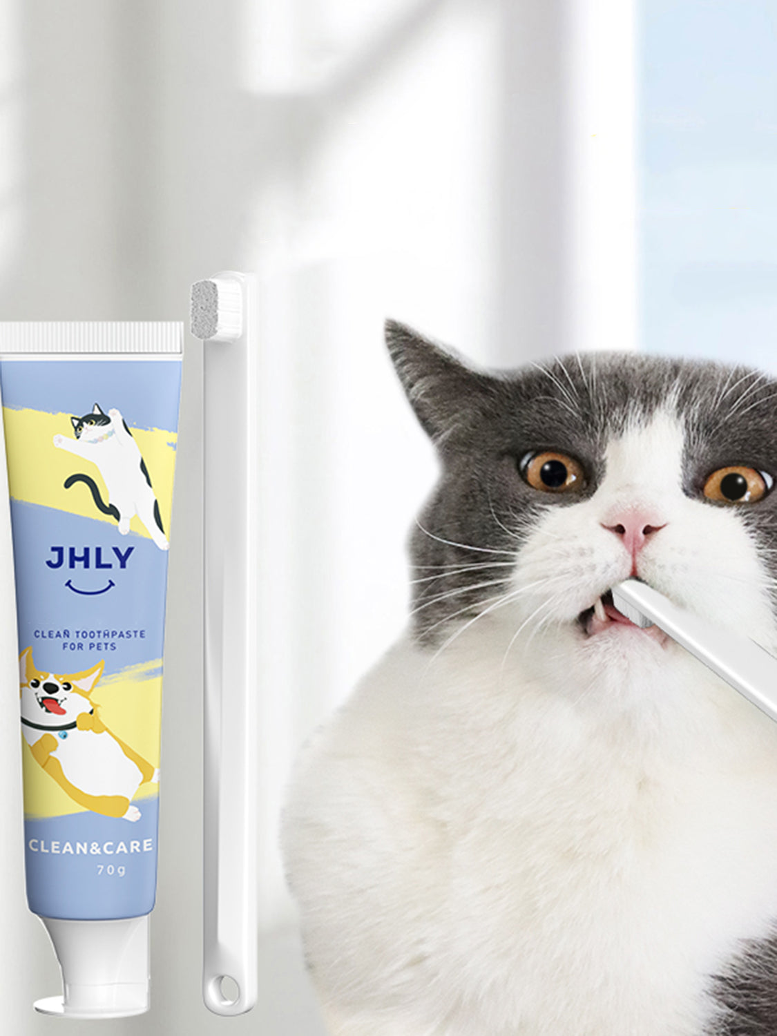 Cat toothpaste canada best sale